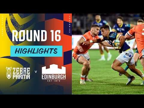 Zebre 25 - 25 Edinburgh