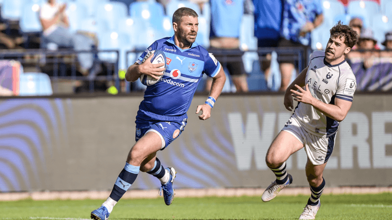 Do or die: The permutations for SA teams in the final round of Champions Cup