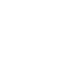 Fidelity Securedrive Lions